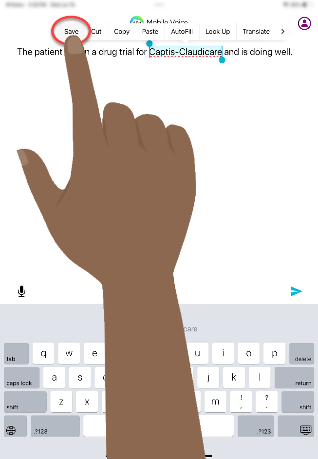 Dictionary-save1-word-in-dictation-screen-transcript.png