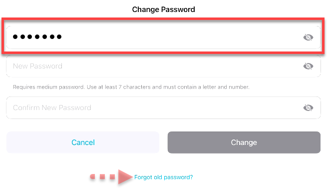 MViOS-ChangePassword-old-password.png