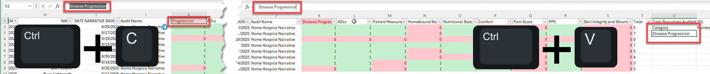 NoteAssistQA-ANALYSIS-copy-paste-Category-name.png