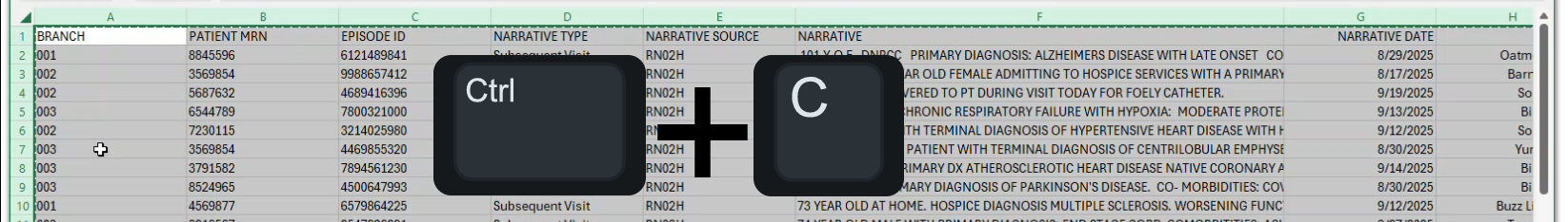 NoteAssistQA-ANALYSIS-ctrl-C-copy-all.png