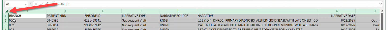 NoteAssistQA-ANALYSIS-select-all.png