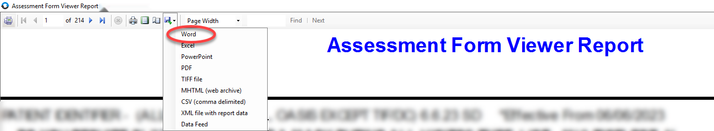 VoiceAssistant-Assessments-File-HCHB-Assessment-Form-Viewer-Report.png