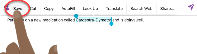 iOS-Dictionary-save-term.png