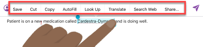 iOS-Dictionary-select-term.png