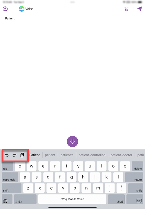 iOSMV-undo-redo-copy-dictation-screen-2020.PNG