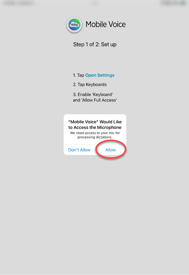 setup-allow-mic-access-2000.png