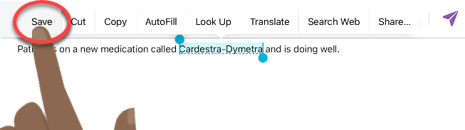 voice-iOS-Keyboard-Dictionary-save-term-2090.png