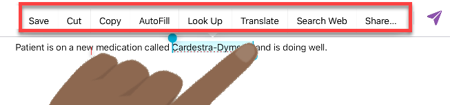 voice-iOS-Keyboard-Dictionary-select-term-2090.png