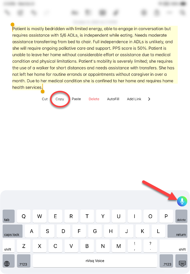 voice-iOS-NoteAssist-copy-text-tap-dictation-button.png