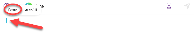 voice-iOS-NoteAssist-place-cursor-tap-paste.png