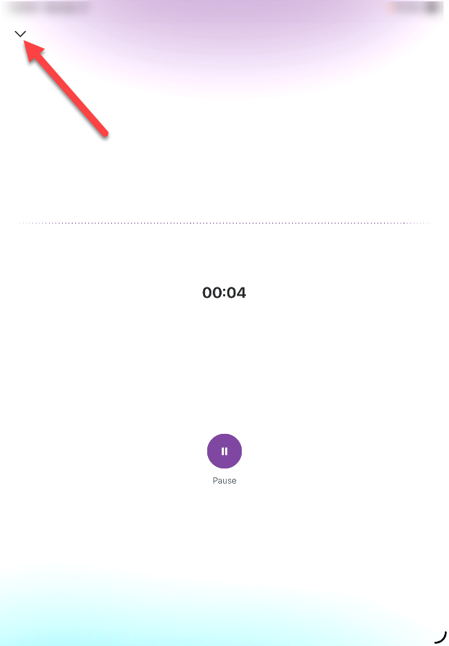voice-iOS-VoiceAssistant-recording-collapse-icon.png