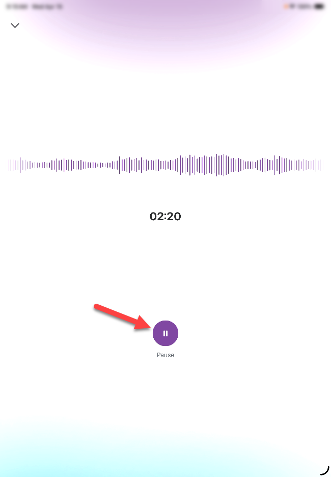 voice-iOS-VoiceAssistant-recording-pause.png