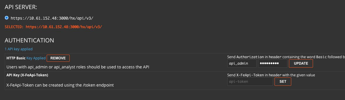 Screenshot of the API Documentation UI showing API SERVER selection (https://10.61.152.48:3000/hx/api/v3/), the AUTHENTICATION section with HTTP Basic Key Applied and fields for username (api_admin) and password plus an API Key (X-FeApi-Token) input and SET button