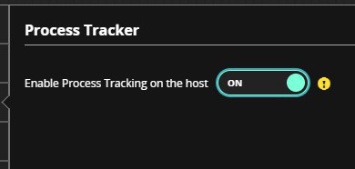Screenshot of the Process Tracker UI showing the heading Process Tracker and a toggle labeled Enable Process Tracking on the host in the ON position with a teal highlight and an informational icon on a dark background.