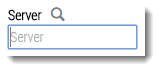 Search box labeled Server with a magnifying-glass search icon and an input field showing the placeholder text Server.