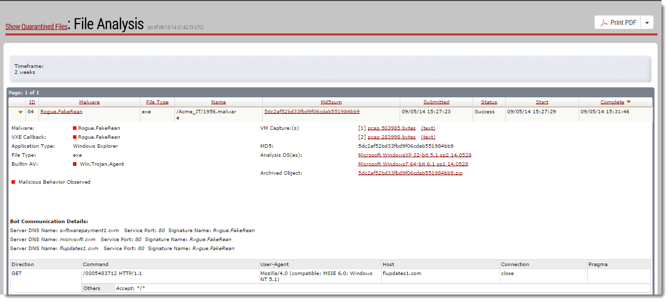 Larger screenshot of the File Analysis details view showing expanded file information, analysis sections, and a detailed table of network/behavior data.