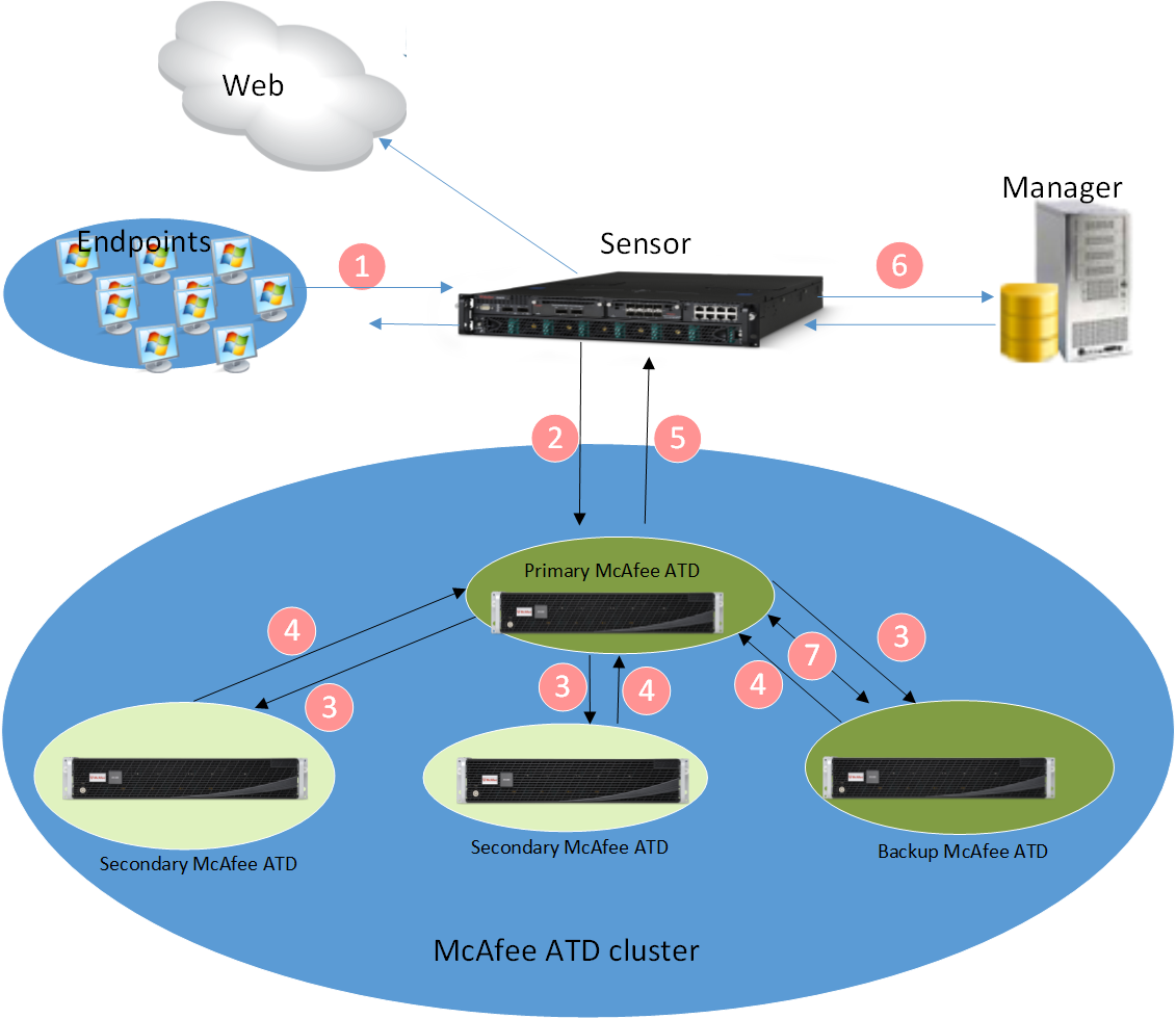 Diagram showing a Network Security Platform integrated with an Intelligent Sandbox cluster — depicts Web, Endpoints, Sensor, Manager, and a McAfee ATD cluster with Primary, Secondary, and Backup ATD appliances and numbered process flow arrows.