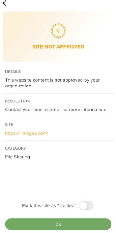 Mobile app screen showing a Site Not Approved notice card with details sections (Details, Resolution, Site, Category) and an OK button at the bottom.