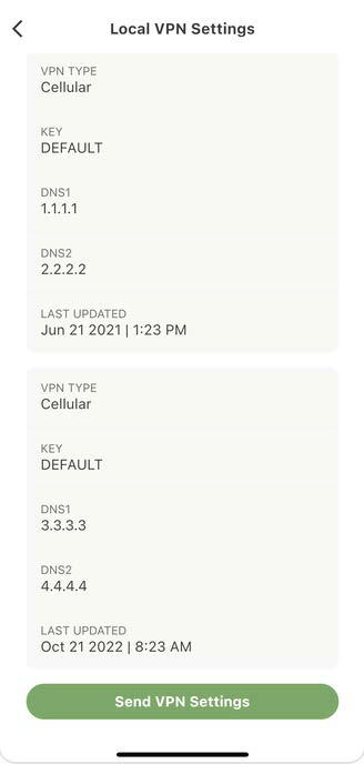Mobile app screenshot titled Local VPN Settings showing two pale cards with fields VPN TYPE Cellular, KEY DEFAULT, DNS1 1.1.1.1 / 3.3.3.3, DNS2 2.2.2.2 / 4.4.4.4 and Last updated timestamps