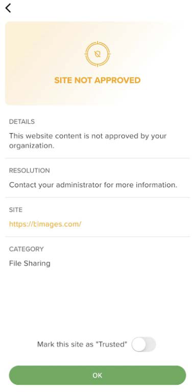 Mobile dialog showing a yellow SITE NOT APPROVED banner with details, site URL, category, a toggle to mark site as Trusted, and an OK button