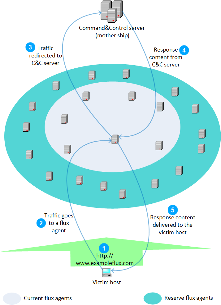 An FFSN network