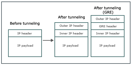 Generic diagram of a tunneled packet