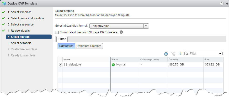 DG_ESXi_tempStorage_client_web_scap.png