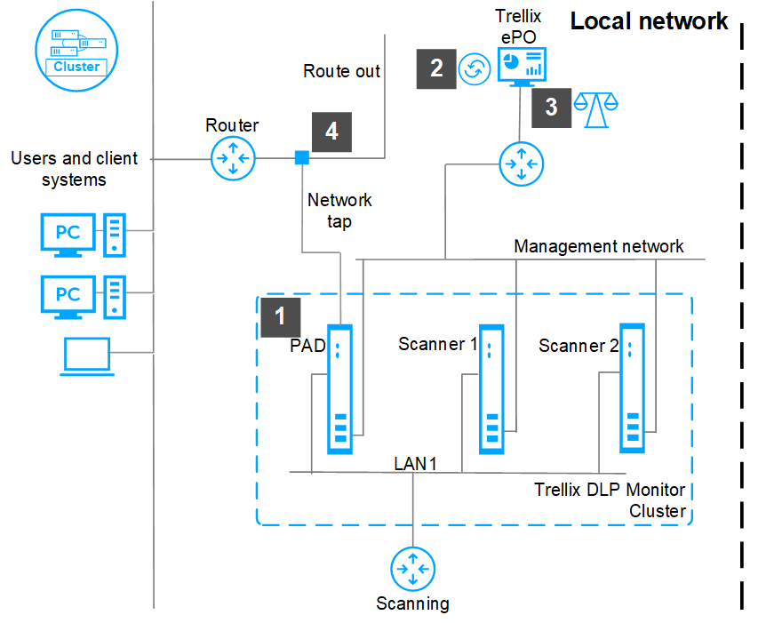 Trellix DLP Network Monitor appliances cluster setup