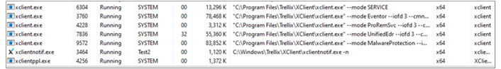 XClient_Processes.png