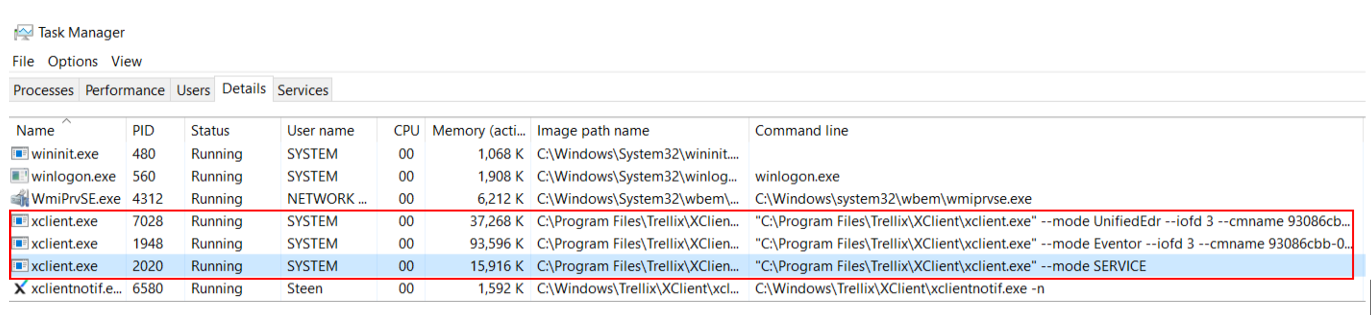 XClient_processes.PNG
