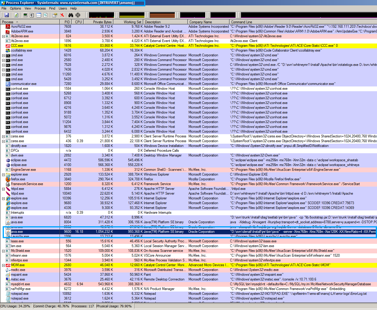 Check if Manager Java process is already running