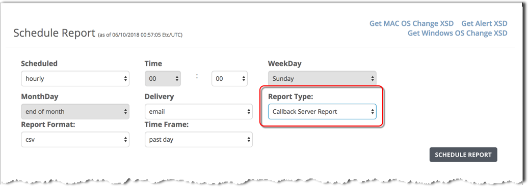 NX_Reports_form_ScheduleReport_CallbackServer.png