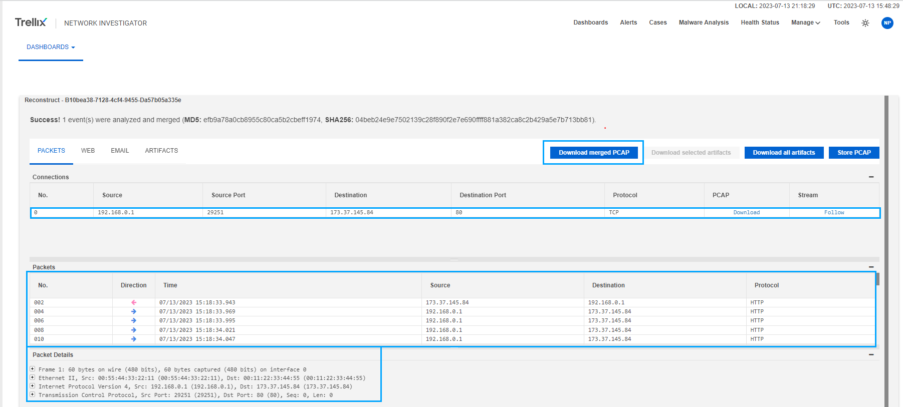 Packets tab showing the reconstructed packet data of the selected netflow