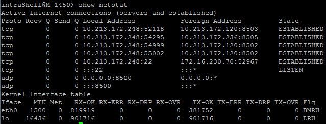 show netstat command output for Sensors