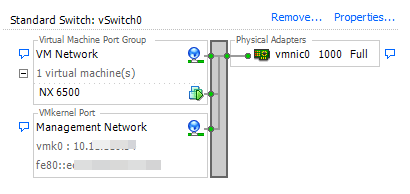DG_ESXi_vSwitch0_scap.PNG