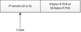 Host IP address