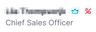 Profile area with blurred name, a cyan crown icon, a red muted icon, and the role Chief Sales Officer.