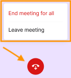 End_Meeting_options.png