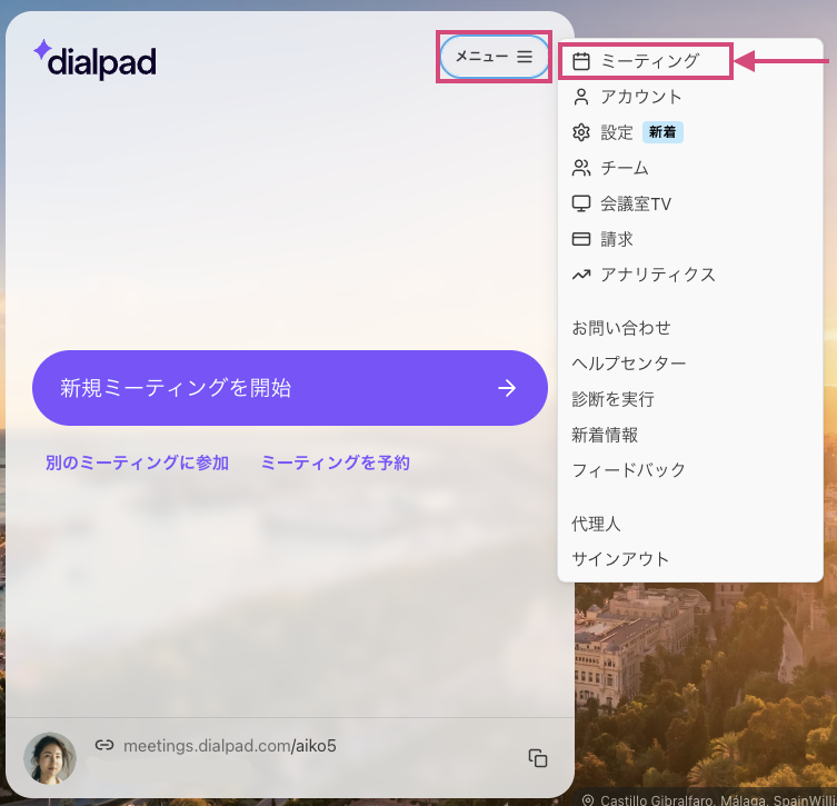Meetings in Dialpad Meetings menu