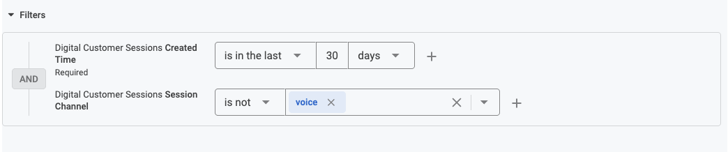 Digital Customer Sessions Volume by Day report filters