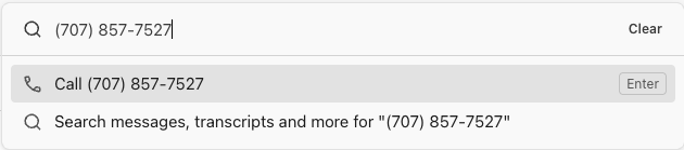App search bar behavior for phone numbers