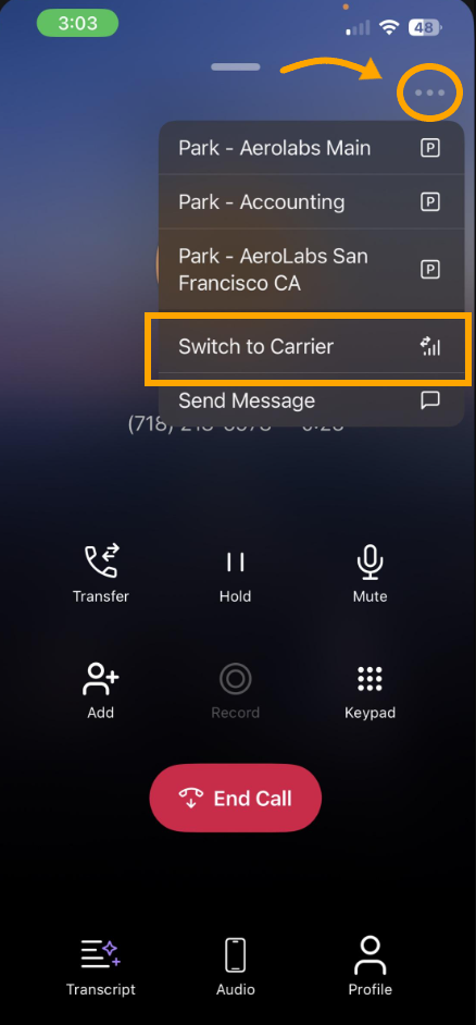 Phone interface showing call options, including 'Switch to Carrier' highlighted.