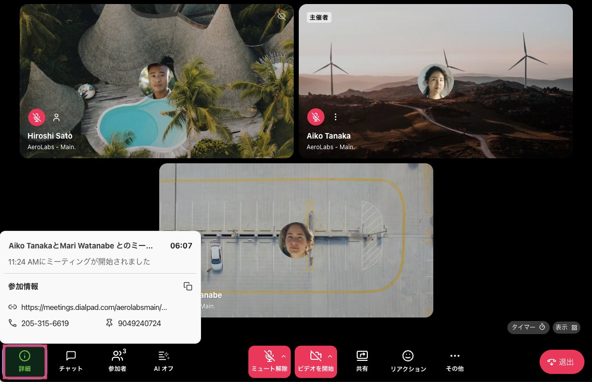 Dialpad Meeting details