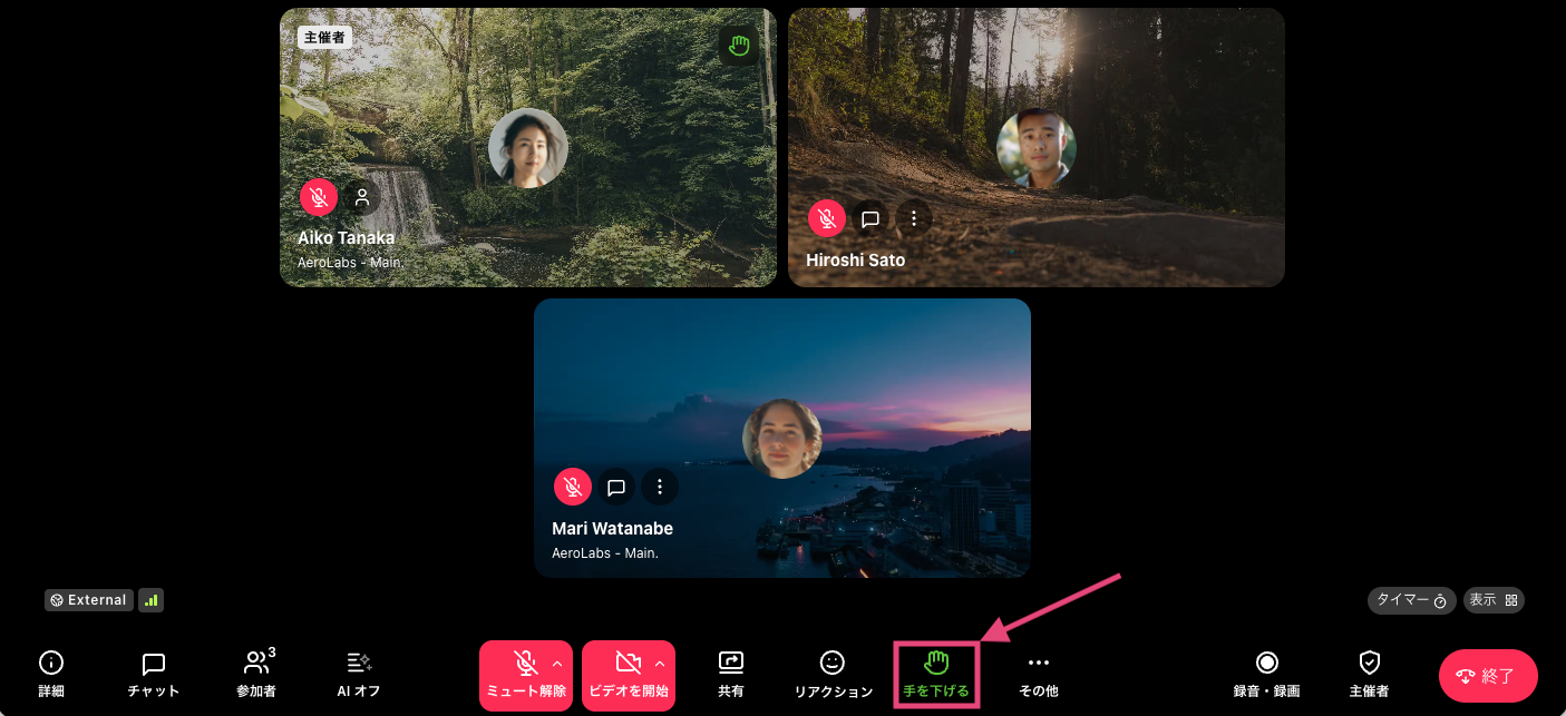 Lower Hand icon in Meetings