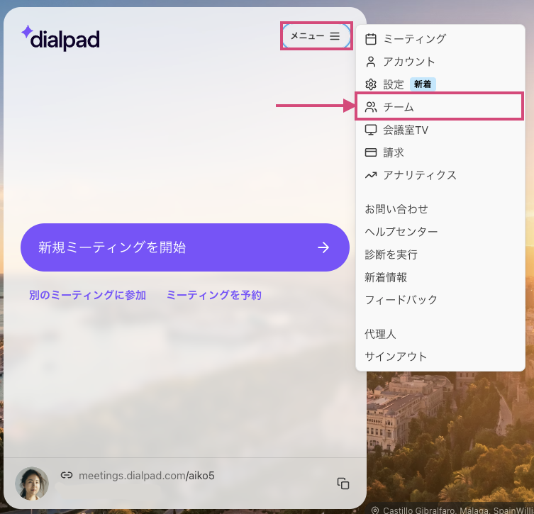 Team settings in Dialpad Meetings menu