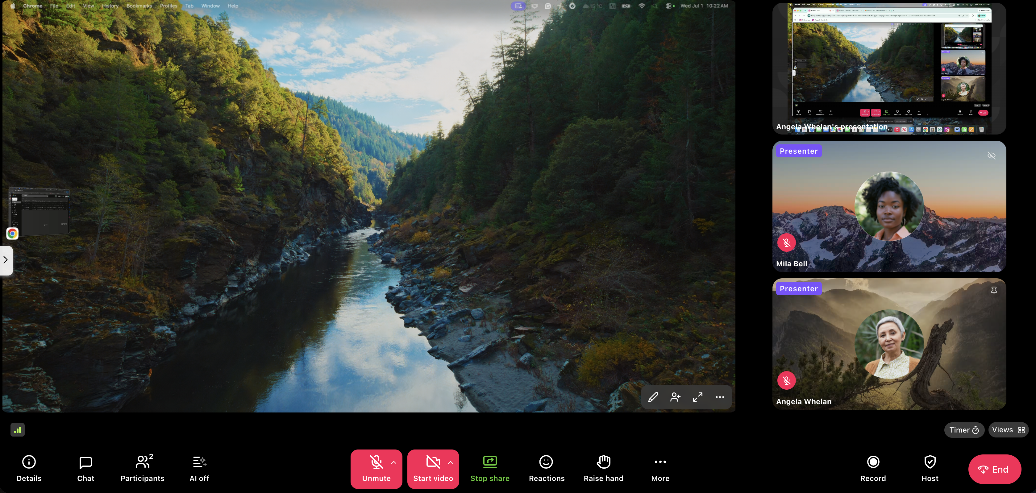 A scenic view of a river surrounded by lush green mountains during a video call.