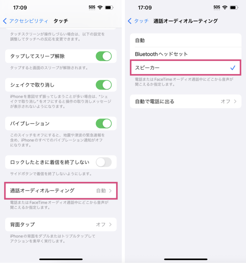 iOS change audio settings