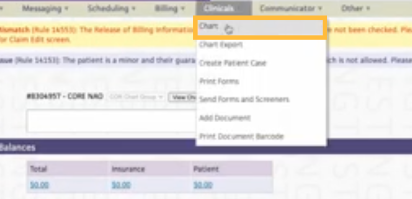 Menu options for clinical charting and patient information management displayed on a screen.