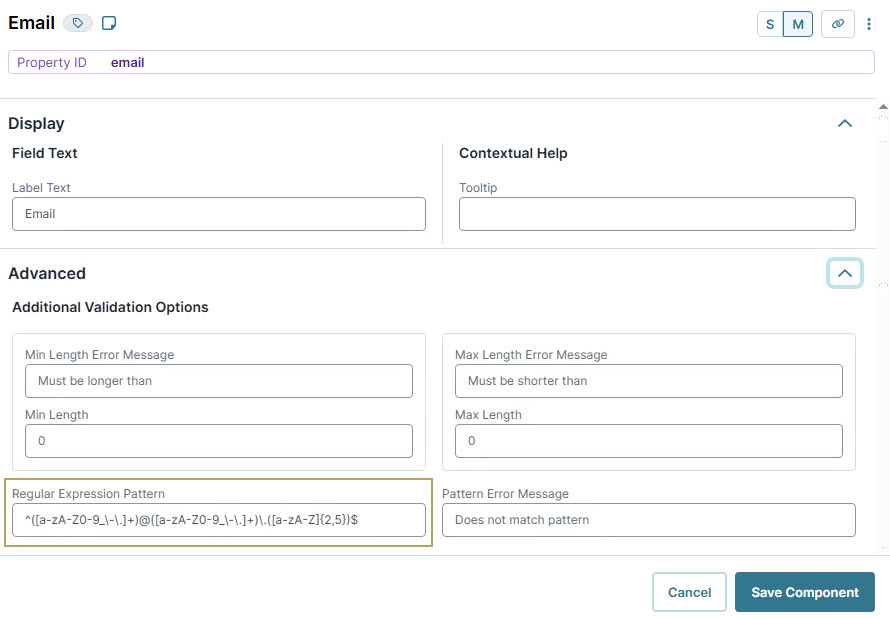 A static image displaying the Email input field with validation options and error messages for user guidance.