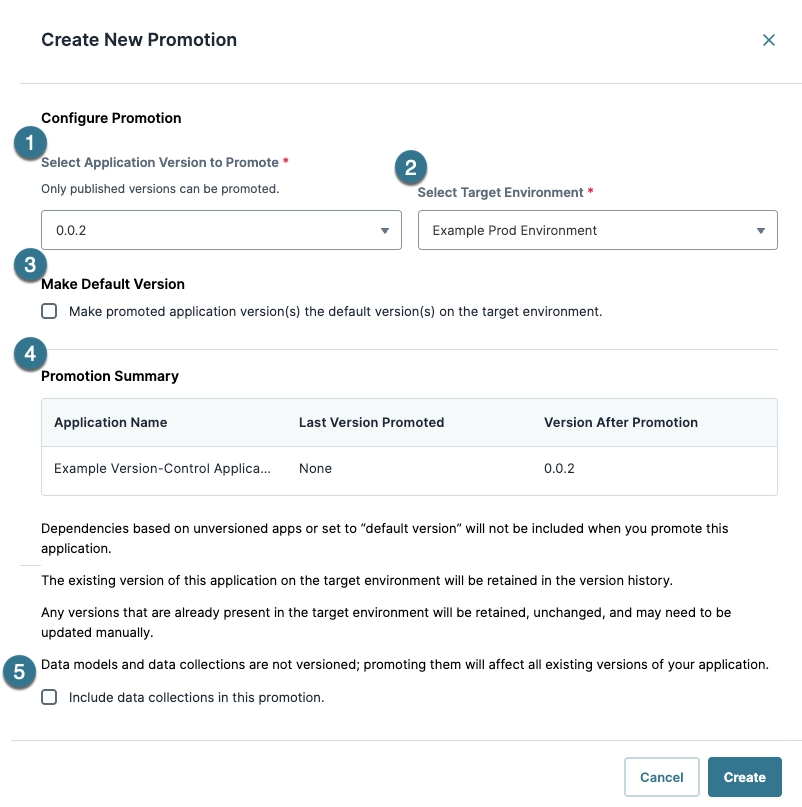 Configuration options for promoting an application version in a software environment.